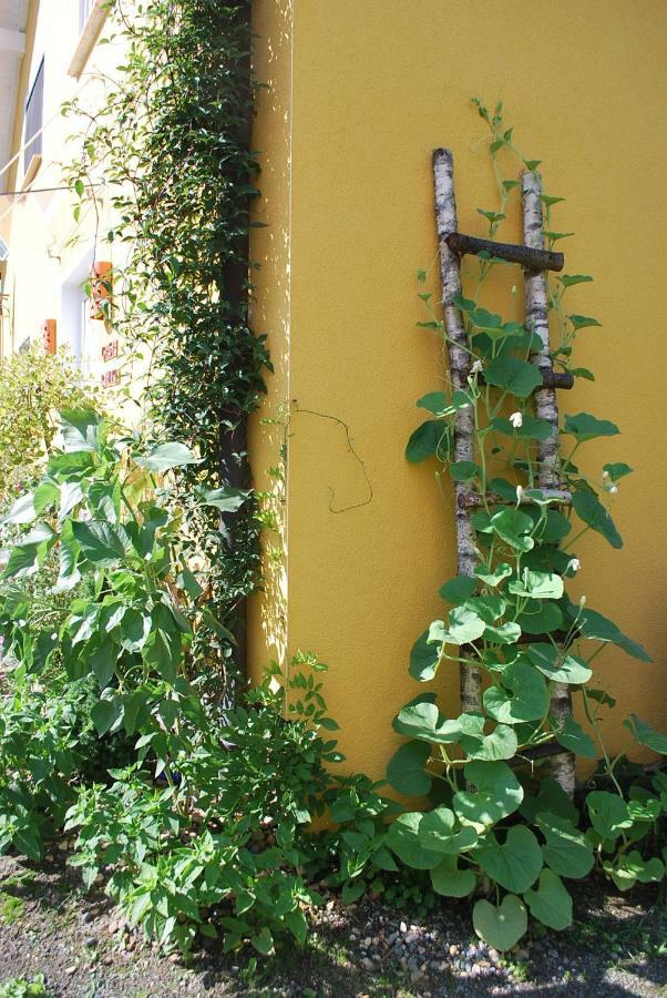 Casa Ramke Lägenhet Eitorf Exteriör bild